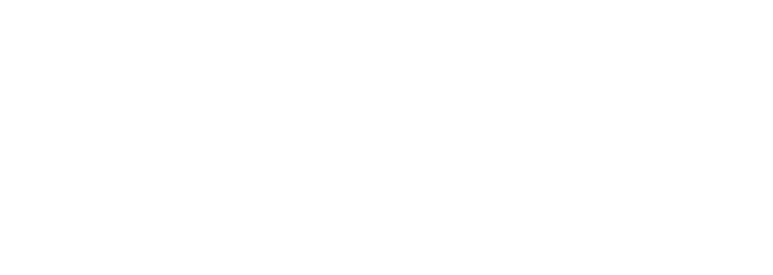 The faytech Shop